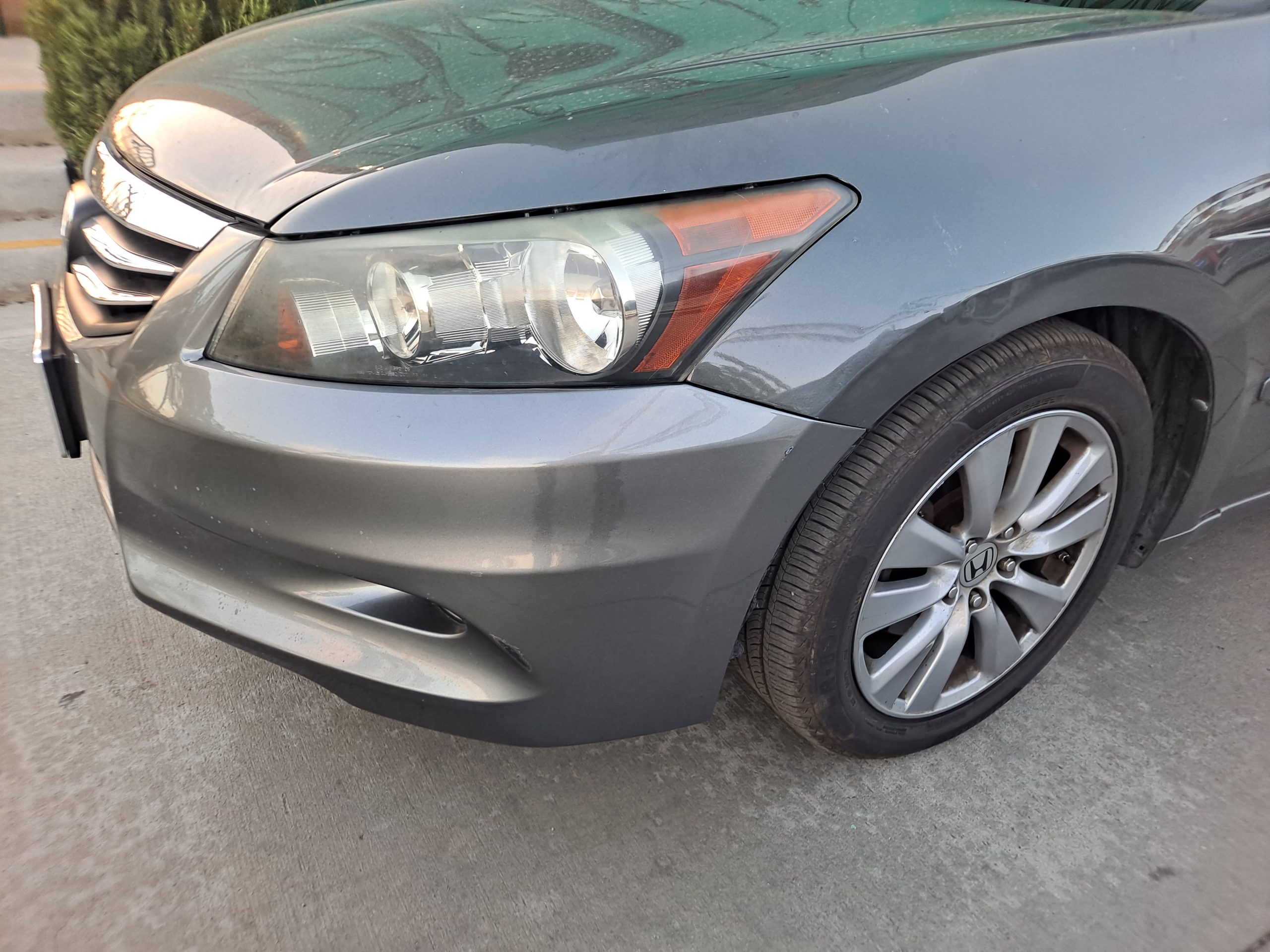 2011 honda accord  limited V6
