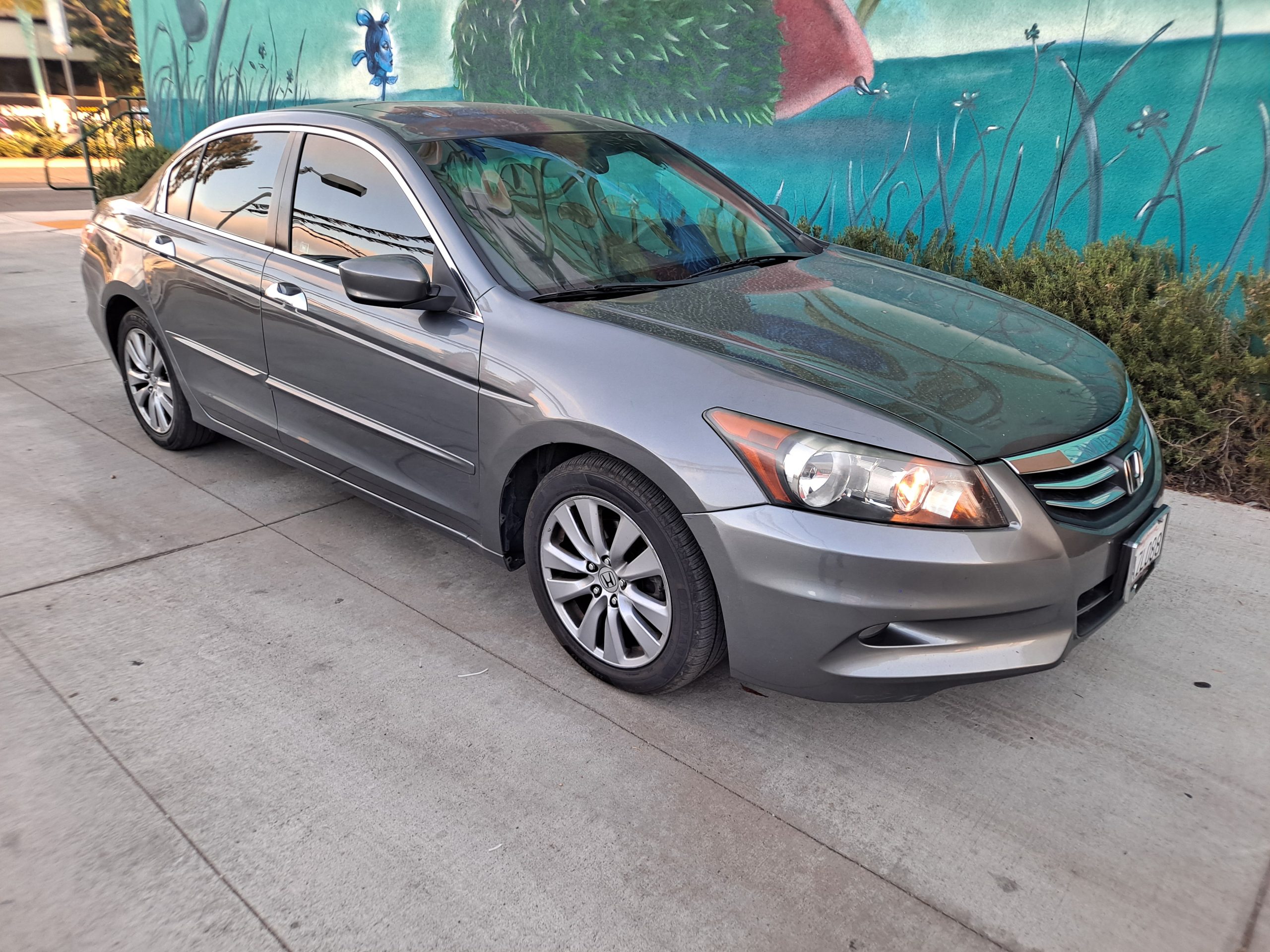 2011 honda accord  limited V6